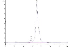 The purity of Rhesus macaque LILRB1/CD85j/ILT2 is greater than 95 % as determined by SEC-HPLC. (LILRB1 Protein (AA 1-474) (Fc Tag))