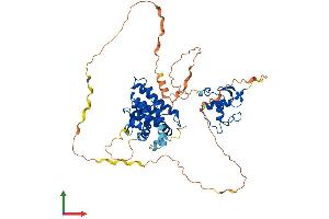 Protein Structure (PS) image for Retinoid X Receptor, beta (RXRB) (AA 1-533) protein (His tag) (ABIN7551609)