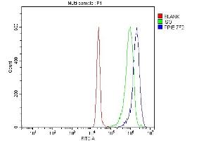 Flow Cytometry analysis of JK cells using anti-Cyclophilin E/PPIE antibody (ABIN7599243). (PPIE Antikörper  (AA 1-301))