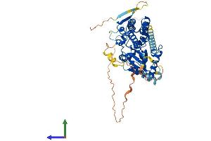 Protein Structure (PS) image for Phosphatidylinositol 4-Kinase Type 2 alpha (PI4K2A) (AA 1-479) protein (His tag) (ABIN7554831)