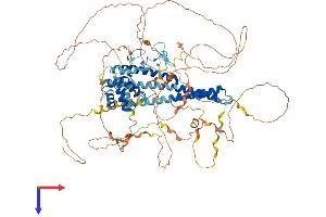MICAL-Like 1 Protein (MICALL1) (AA 1-870) (His tag)