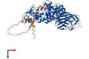 BTBD3 Protein (AA 1-530) (His tag)