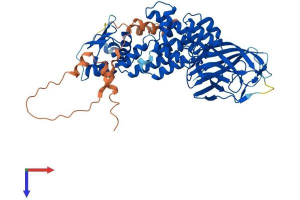 BTBD3 Protein (AA 1-530) (His tag)