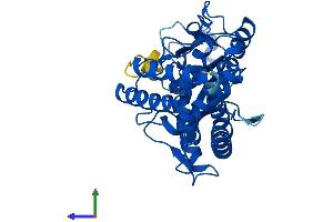 Protein Structure (PS) image for Mab-21-Like 2 (MAB21L2) (AA 1-359) protein (His tag) (ABIN7549200)