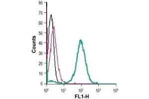 Cell surface detection of NPY1R in live intact human THP-1 monocytic leukemia cells: (black line) Cells. (NPY1R Antikörper  (Extracellular))