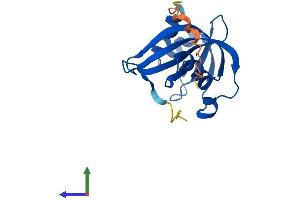 Protein Structure (PS) image for Nudix (Nucleoside Diphosphate Linked Moiety X)-Type Motif 3 (NUDT3) (AA 1-168) protein (His tag) (ABIN7561530)