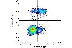 Flow cytometry multicolor surface staining of human lymphocytes stained using anti-human CD200 (OX-104) PE antibody (10 μL reagent / 100 μL of peripheral whole blood) and anti-human CD19 (LT19) APC antibody (10 μL reagent / 100 μL of peripheral whole blood).