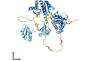 Protein Structure (PS) image for Insulin-Like Growth Factor 2 mRNA Binding Protein 3 (IGF2BP3) (AA 1-579) protein (His tag) (ABIN7554136)
