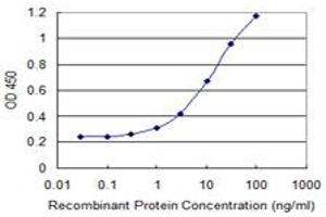 Detection limit for recombinant GST tagged RIOK2 is 0. (RIOK2 Antikörper  (AA 453-551))