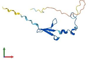 Protein Structure (PS) image for Eukaryotic Translation Initiation Factor 4E Binding Protein 2 (EIF4EBP2) (AA 1-120) protein (His tag) (ABIN7563529)
