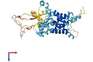 SLC25A39 Protein (AA 1-359) (His tag)