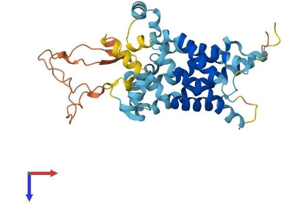SLC25A39 Protein (AA 1-359) (His tag)