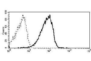 Flow cytometry analysis of CD19+ peripheral blood leukocytes using anti-CD361 antibody (MEM-216). (EVI2B Antikörper)