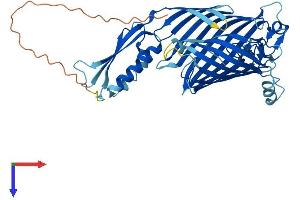 SAMM50 Protein (AA 1-469) (His tag)