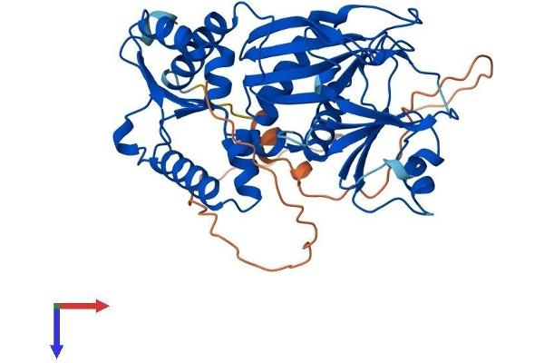 ITPK1 Protein (AA 1-414) (His tag)