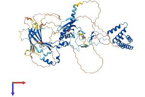 SUZ12 Protein (AA 1-741) (His tag)