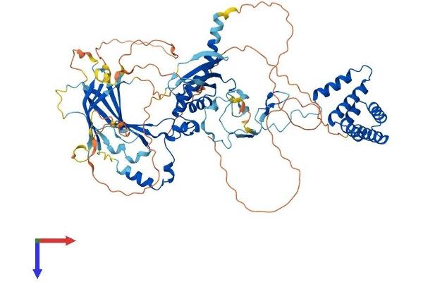 SUZ12 Protein (AA 1-741) (His tag)