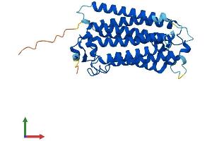 AlphaFold protein structure predicition of Human Recombinant PAQR6 Protein, UniprotID Q6TCH4 (PAQR6 Protein (AA 1-344) (His tag))