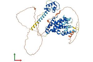 Protein Structure (PS) image for Nuclear Receptor Subfamily 5, Group A, Member 2 (NR5A2) (AA 1-560) protein (His tag) (ABIN7563268)