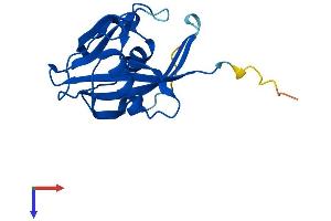 NUDT15 Protein (AA 1-164) (His tag)