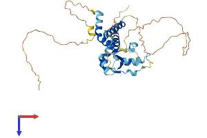 DNTTIP1 Protein (AA 1-328) (His tag)