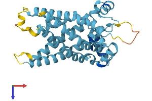 SLC25A45 Protein (AA 1-288) (His tag)