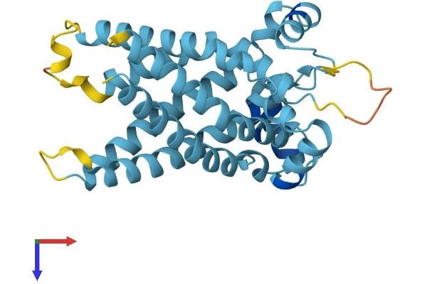 SLC25A45 Protein (AA 1-288) (His tag)