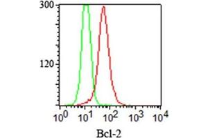 FACS staining (intracellular) of Jurkat cells using Bcl2 antibody cocktail (red) and isotype control (green). (Bcl-2 Antikörper  (AA 41-54))