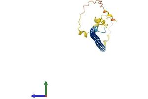 Protein Structure (PS) image for Jun Dimerization Protein 2 (JDP2) (AA 1-163) protein (His tag) (ABIN7556838)