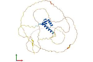 Protein Structure (PS) image for Orthodenticle Homeobox 1 (OTX1) (AA 1-355) protein (His tag) (ABIN7556738)