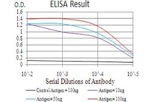 Fig. (CBX4 Antikörper  (AA 397-514))