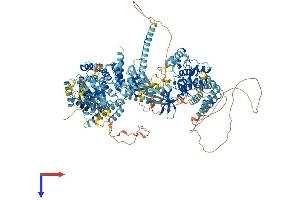 MAP3K15 Protein (AA 1-1331) (His tag)