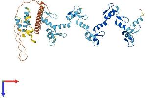AlphaFold protein structure predicition of Human Recombinant ZNF718 Protein, UniprotID Q3SXZ3