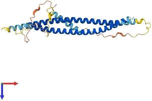 SNAP29 Protein (AA 1-258) (His tag)