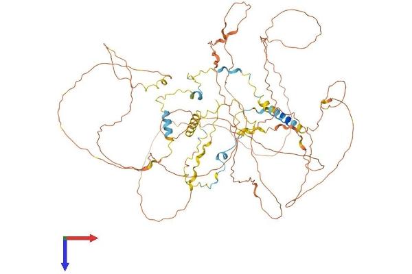 MAP6 Protein (AA 1-813) (His tag)