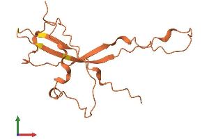 AlphaFold protein structure predicition of Human Recombinant LINC00315 Protein, UniprotID P59091