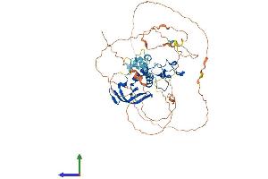 Protein Structure (PS) image for CCR4-NOT Transcription Complex, Subunit 2 (CNOT2) (AA 1-540) protein (His tag) (ABIN7553513)