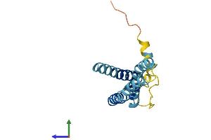 AlphaFold protein structure predicition of Human Recombinant TMEM170A Protein, UniprotID Q8WVE7