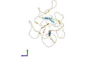 AlphaFold protein structure predicition of Human Recombinant FAM149B1 Protein, UniprotID Q96BN6