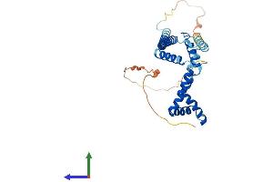Protein Structure (PS) image for High Mobility Group 20B (HMG20B) (AA 1-317) protein (His tag) (ABIN7556366)