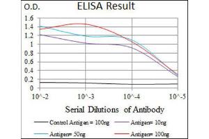 ELISA image for anti-Wolf-Hirschhorn Syndrome Candidate 2 (WHSC2) (AA 280-511) antibody (ABIN1846367)