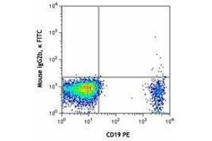 Flow Cytometry (FACS) image for anti-Chemokine (C-C Motif) Receptor 6 (CCR6) antibody (FITC) (ABIN2661554) (CCR6 Antikörper  (FITC))