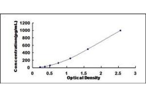 Typical standard curve (Persephin ELISA Kit)