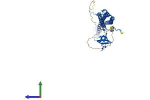 Protein Structure (PS) image for Proline-serine-threonine Phosphatase Interacting Protein 1 (PSTPIP1) (AA 1-415) protein (His tag) (ABIN7563566)