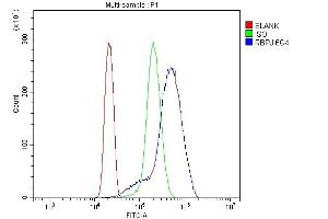 Flow Cytometry analysis of U937 cells using anti-RBPJK/RBPJ antibody (ABIN7601671).