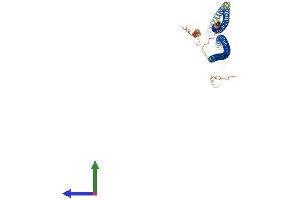 AlphaFold protein structure predicition of Mouse Recombinant Krt33a Protein, UniprotID Q8K0Y2