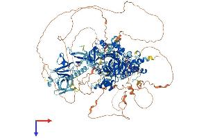 KDM3A Protein (AA 1-1323) (His tag)