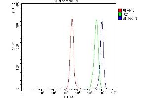 Flow Cytometry analysis of Daudi cells using anti-SNTG2 antibody (ABIN7599617). (SNTG2 Antikörper  (AA 100-430))