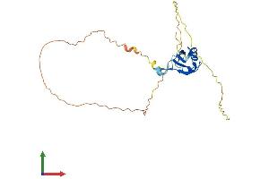 Protein Structure (PS) image for serine/arginine-Rich Splicing Factor 12 (SRSF12) (AA 1-261) protein (His tag) (ABIN7546392)