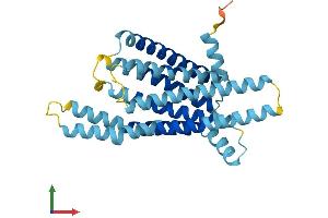 AlphaFold protein structure predicition of Mouse Recombinant Tas2r16 Protein, UniprotID P59529